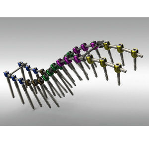 thoraco-lumbo-sacral osteosynthesis unit