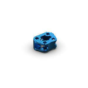 cervical interbody fusion cage 1