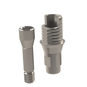 titanium implant abutment 1