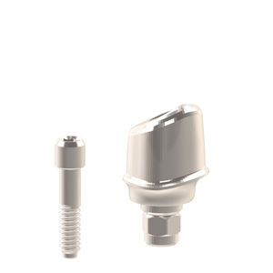 titanium implant abutment