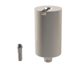 titanium implant abutment