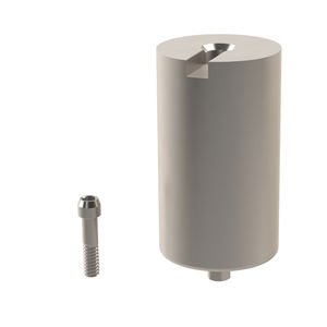 titanium implant abutment