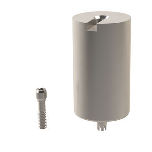titanium implant abutment