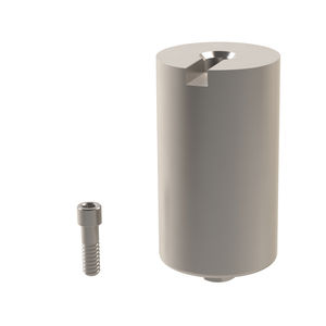titanium implant abutment