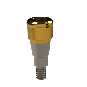 titanium implant abutment 1