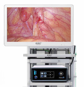 endoscopic camera