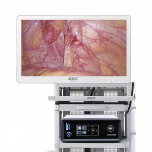 ENT endoscopy column