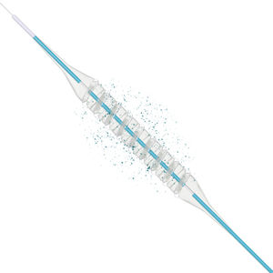 PTCA catheter