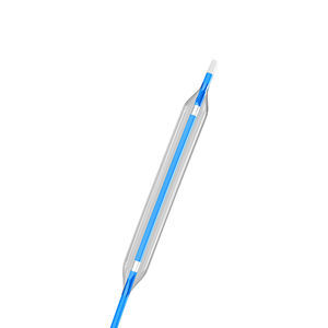 PTCA catheter
