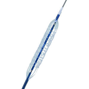 PTCA catheter