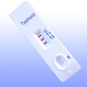 rapid typhoid test