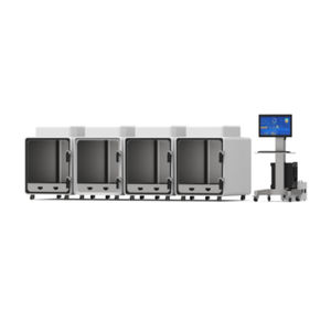 body plethysmograph