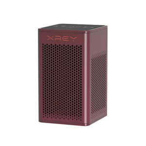 portable air purifier 1
