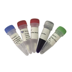 monoclonal antibody reagent