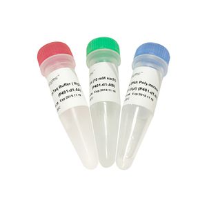 enzyme reagent kit