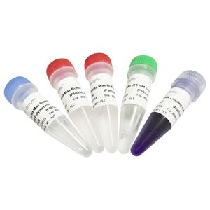 enzyme reagent