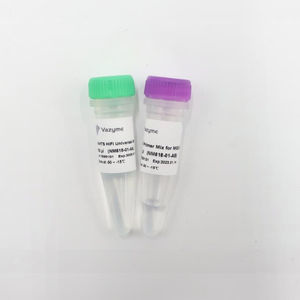 DNA polymerase reagent kit