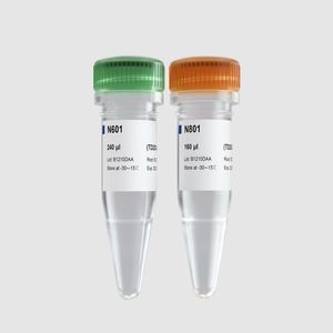 solution reagent kit