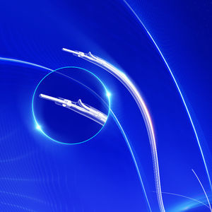 delivery microcatheter 1