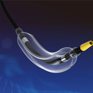 scoring catheter 1