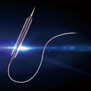 percutaneous transluminal coronary angioplasty catheter 1