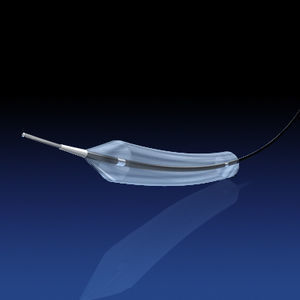 PTCA catheter 1
