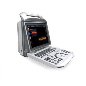 on-platform ultrasound system