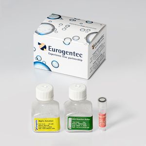 enzyme reagent kit