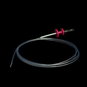 gastrointestinal cytology brush