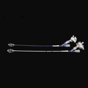 balloon catheter spine augmentation system 1