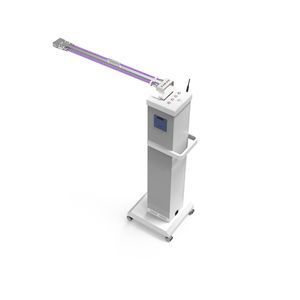 food disinfection system