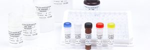 dengue fever test kit