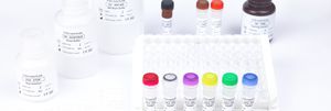 enzyme reagent kit