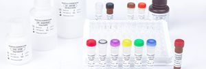 enzyme reagent kit