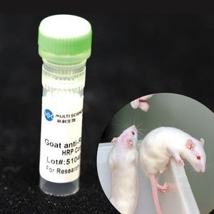 monoclonal antibody 1