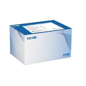 enzyme reagent kit