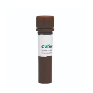 enzyme reagent