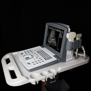 portable, with trolley ultrasound system