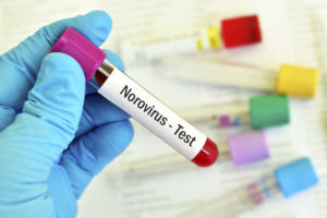 rapid infectious disease test