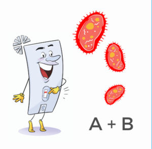 seasonal influenza H1 rapid test