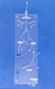 artery model