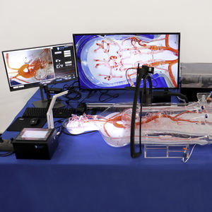 vascular surgery simulator