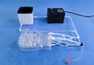 intracranial anatomical model 1