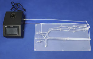 vein vascular model