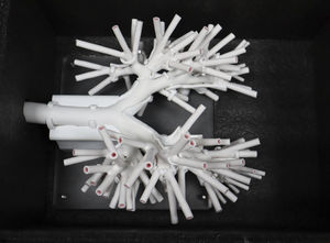 blood vessels vascular model 1