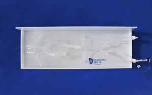 abdominal vascular model 1