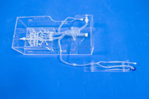intracranial vascular model 1