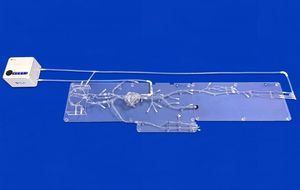 artery vascular model 1