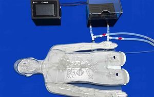 whole body vascular model 1