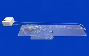 arterial system vascular model 1